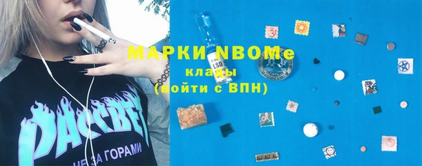 ГАЛЛЮЦИНОГЕННЫЕ ГРИБЫ Осинники