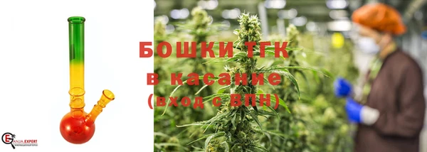 ГАЛЛЮЦИНОГЕННЫЕ ГРИБЫ Осинники