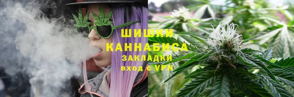 ГАЛЛЮЦИНОГЕННЫЕ ГРИБЫ Осинники