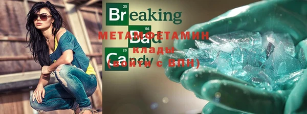 ГАЛЛЮЦИНОГЕННЫЕ ГРИБЫ Осинники