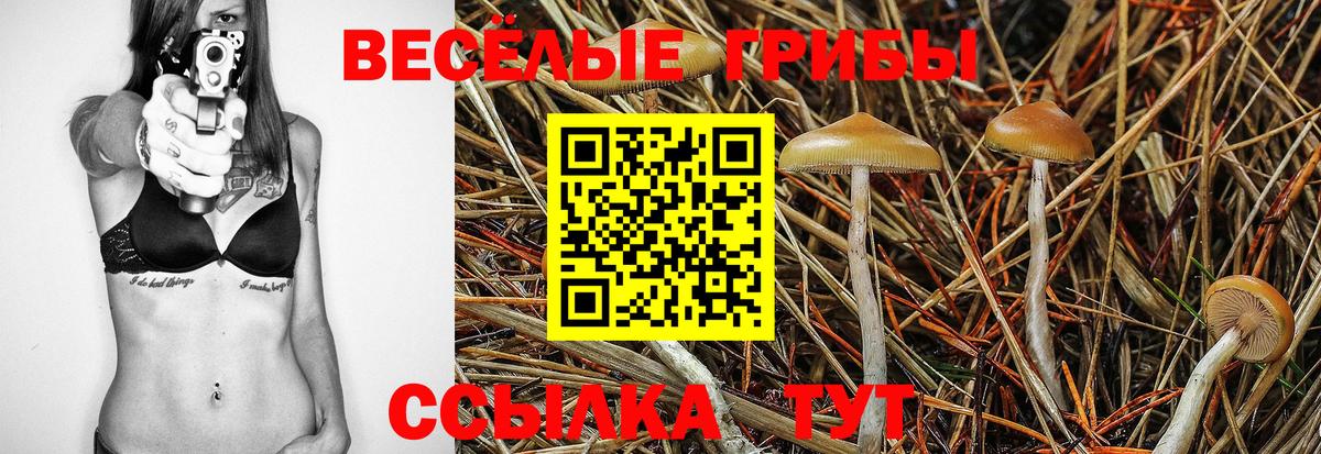 даркнет сайт  Псилоцибиновые грибы Cubensis  Вход с VPN  Богородицк 