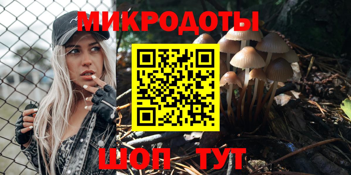 Псилоцибиновые грибы Psilocybine cubensis  Галлюциногенные грибы мицелий  Богородицк 